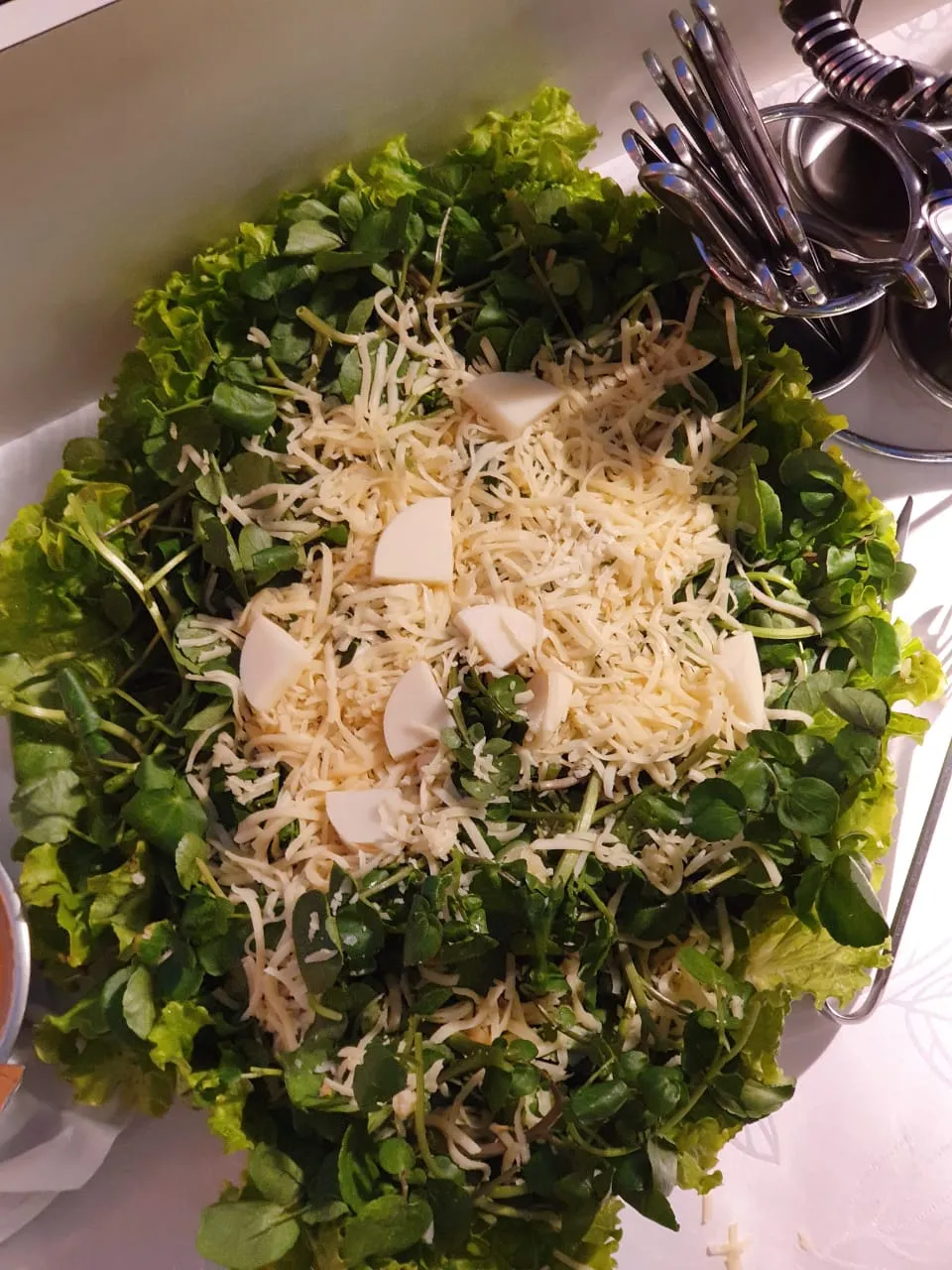 WhatsApp-Image-2019-08-21-at-09.53.59